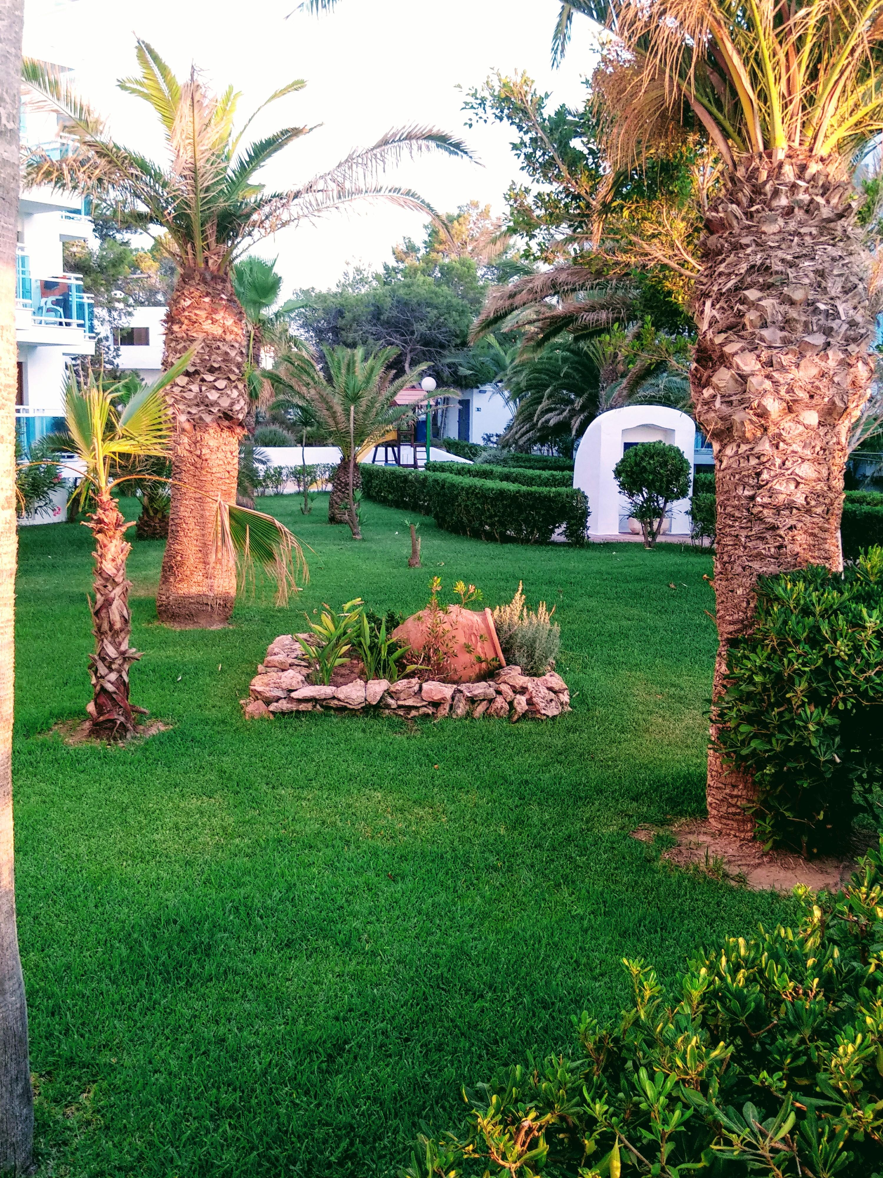 Sant Antoni de Portmany Aparthotel Nereida מראה חיצוני תמונה